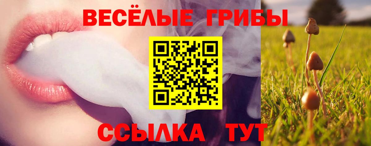 Галлюциногенные грибы прущие грибы Воркута